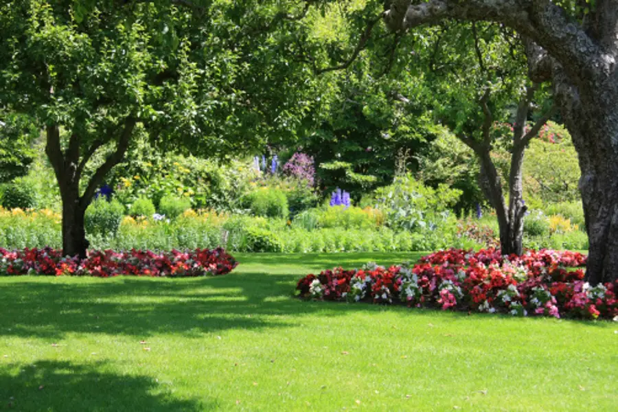 Commercial Landscaping