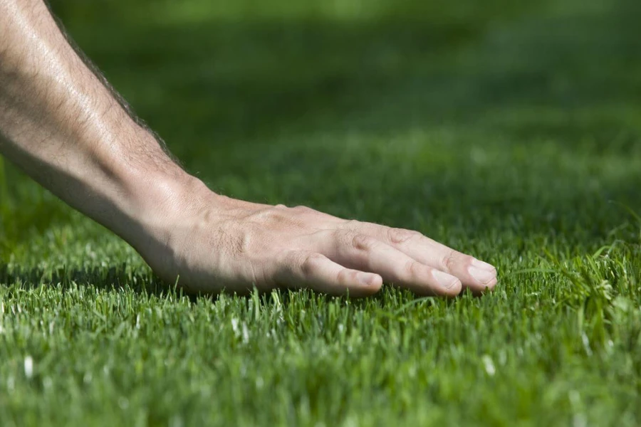Professional Landscaping Contractor