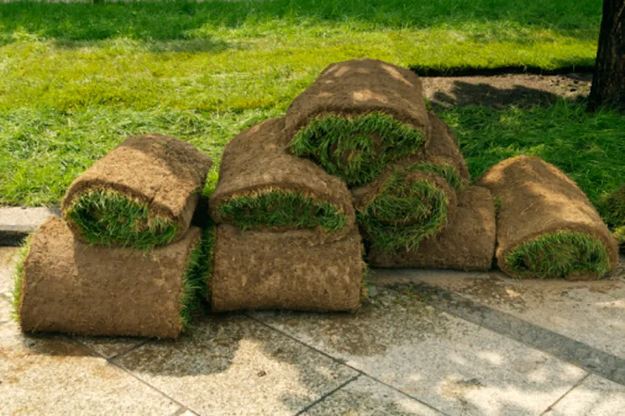 Sod Delivery