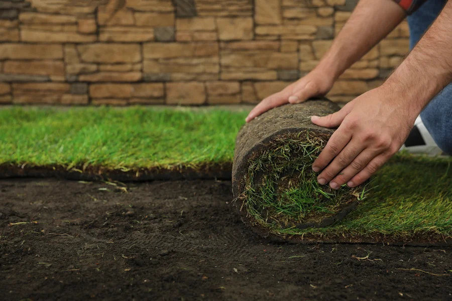 Sod Supplier
